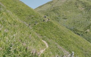 Group of hikers on a green mountain trail in Alaska, enjoying outdoor summer activities.