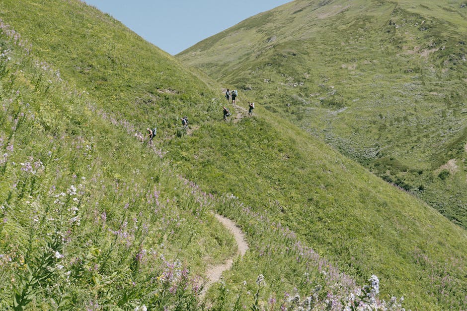 Group of hikers on a green mountain trail in Alaska, enjoying outdoor summer activities.