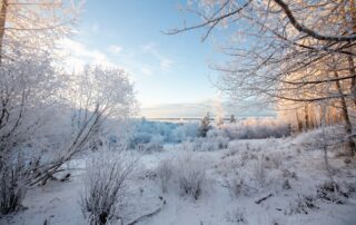 Snowy winter landscape with soft daylight in the Anchorage area